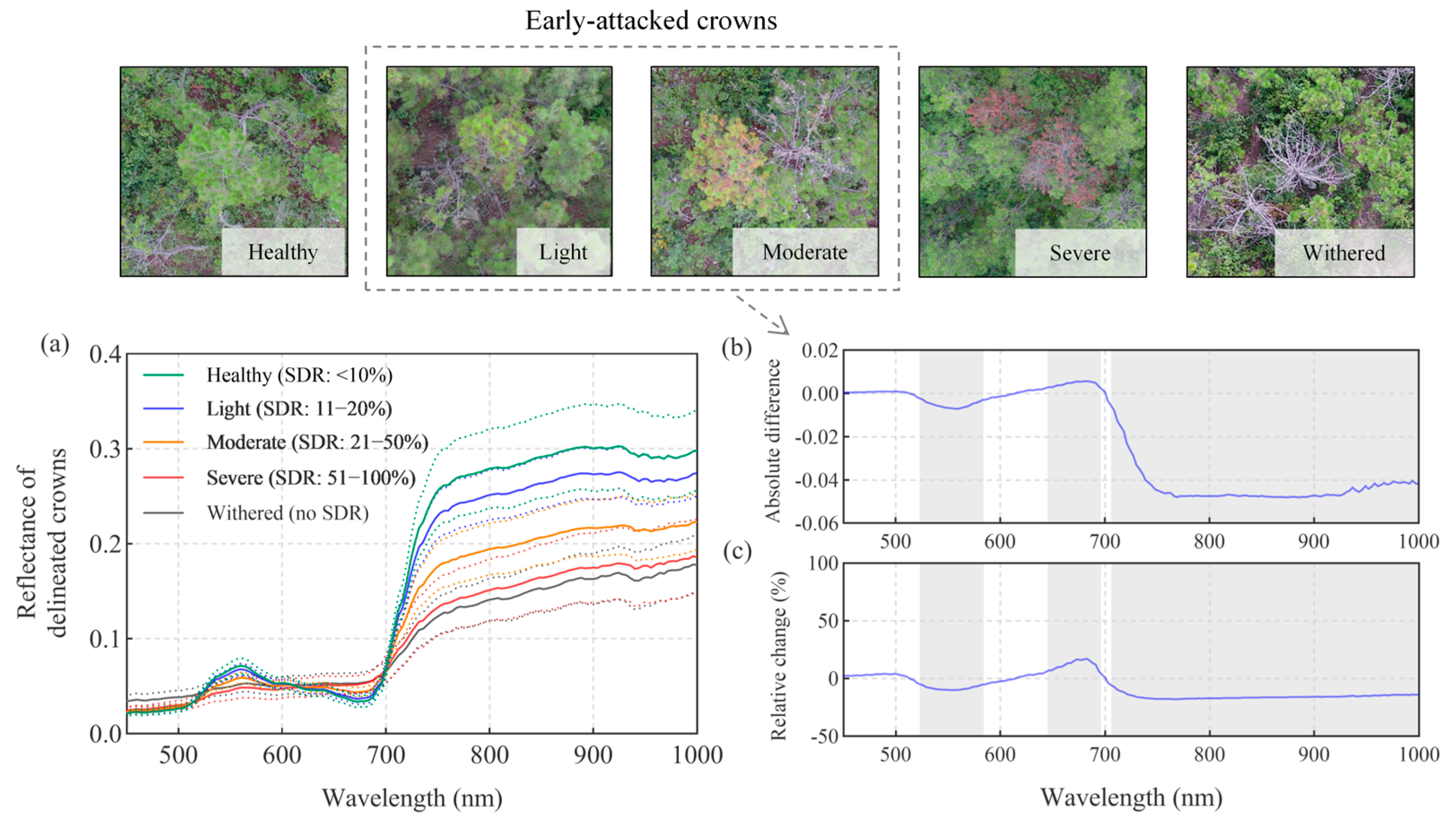 Remotesensing 17 01109 g005