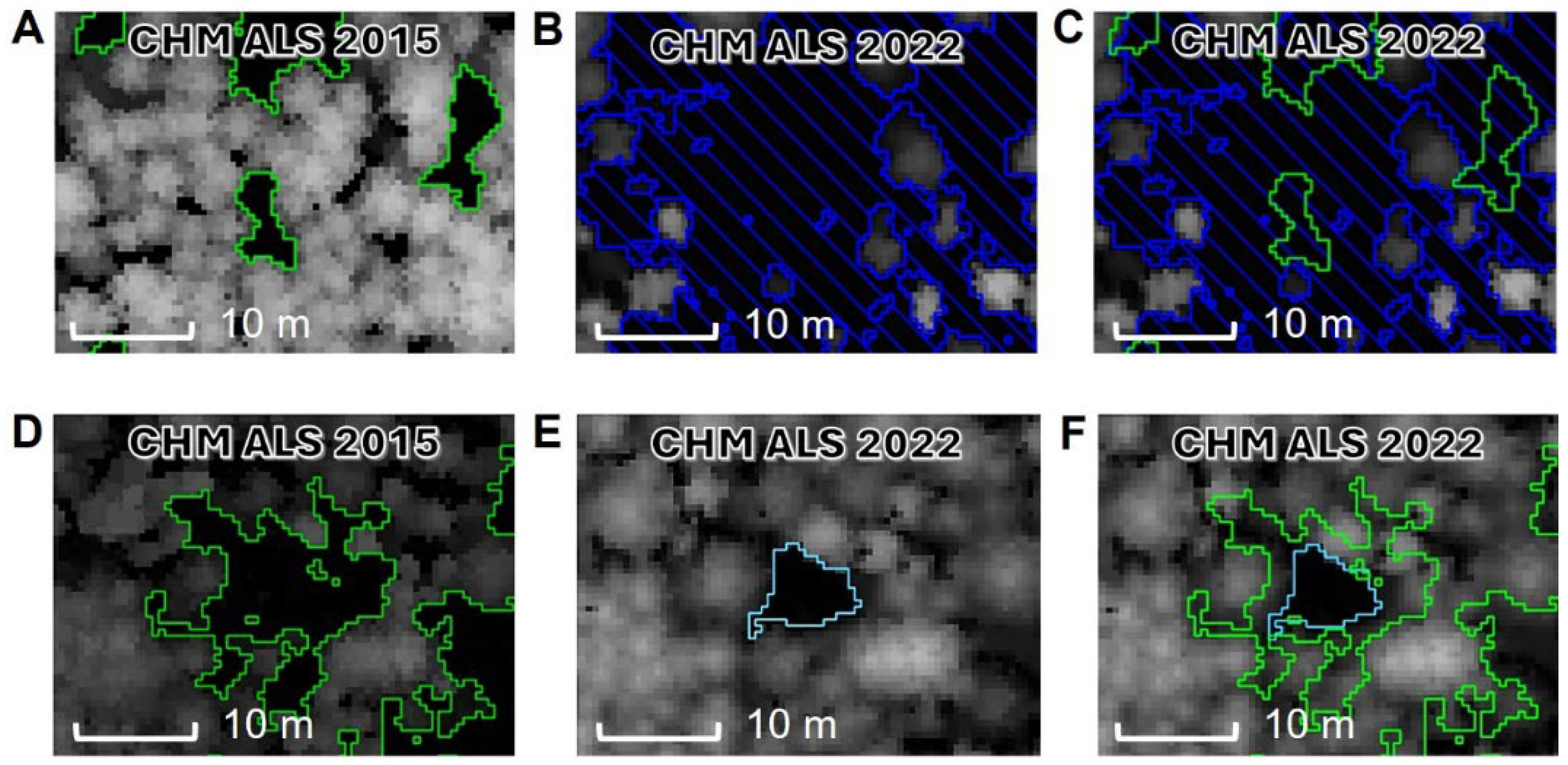 Remotesensing 17 01149 g006