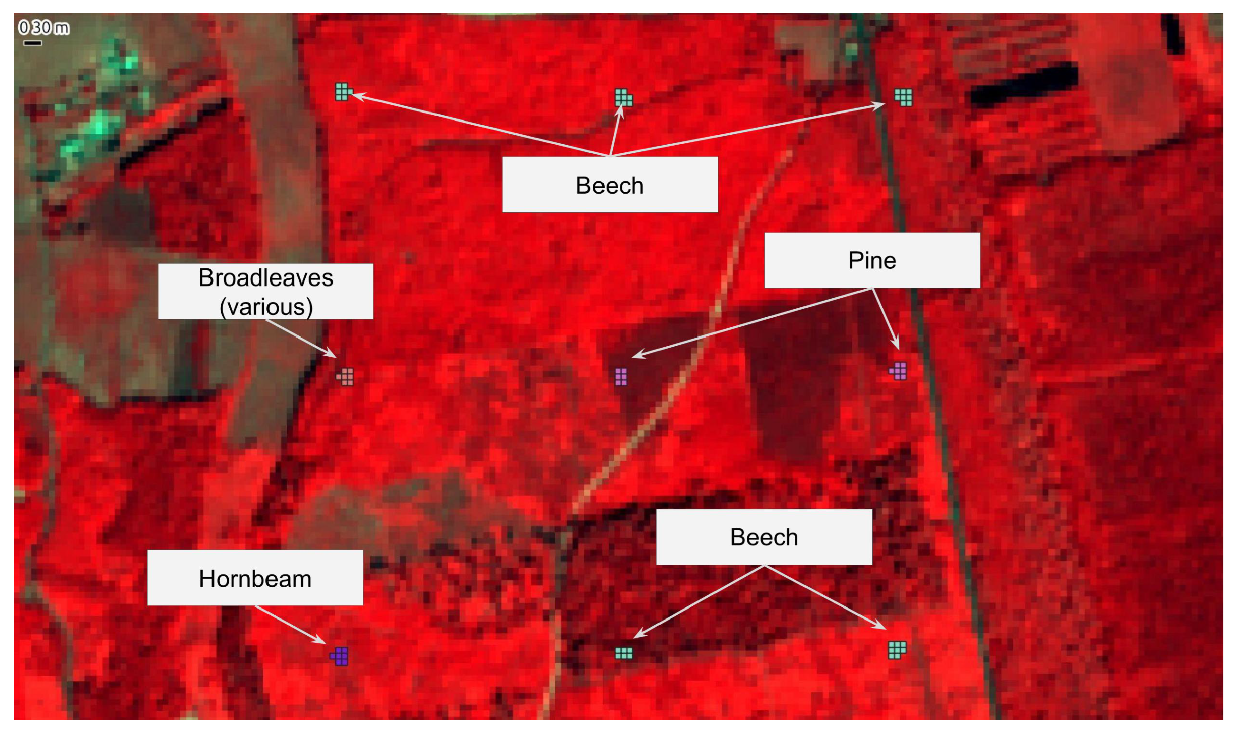 Remotesensing 17 01190 g002 Remotesensing 17 01190 g002