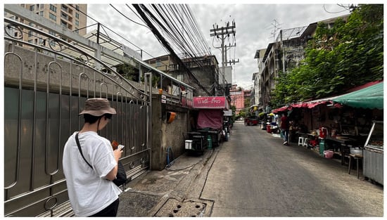 Remotesensing 17 01204 g0a5