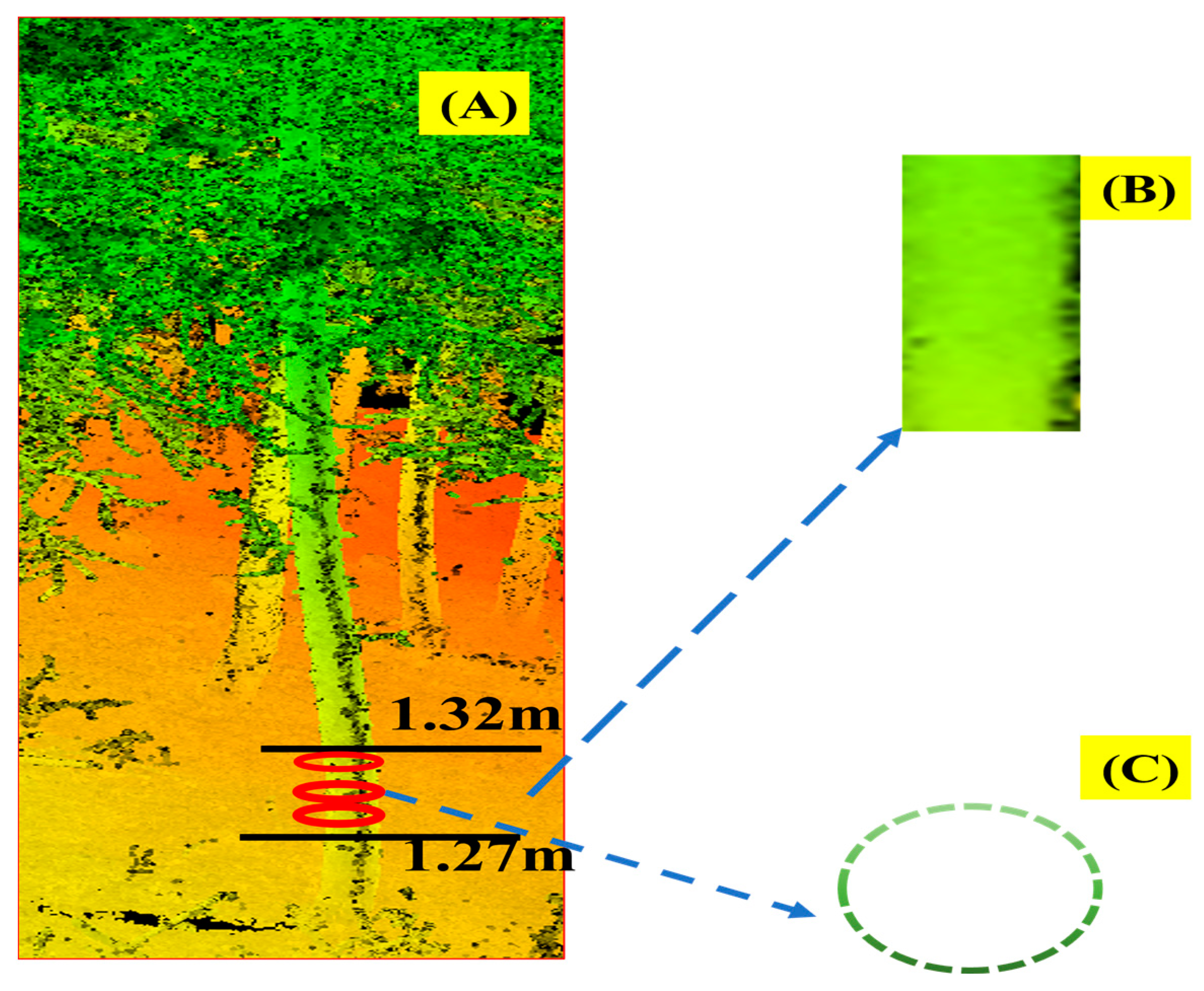 Remotesensing 17 01228 g0a3 Remotesensing 17 01228 g0a3