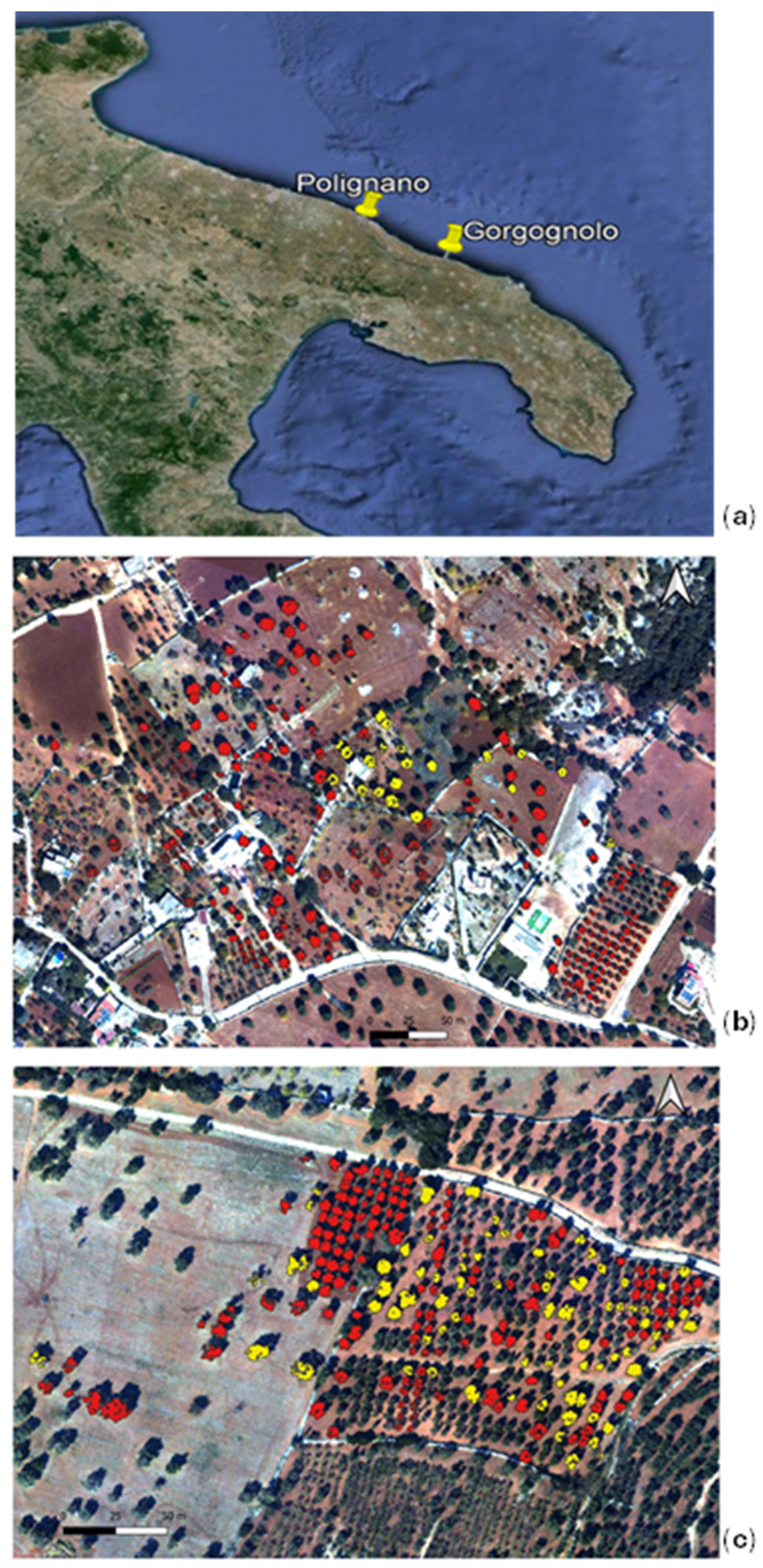 Remotesensing 17 01372 g003