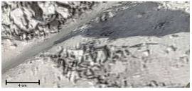 Remotesensing 17 01400 i020