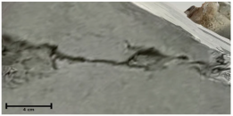 Remotesensing 17 01400 i024