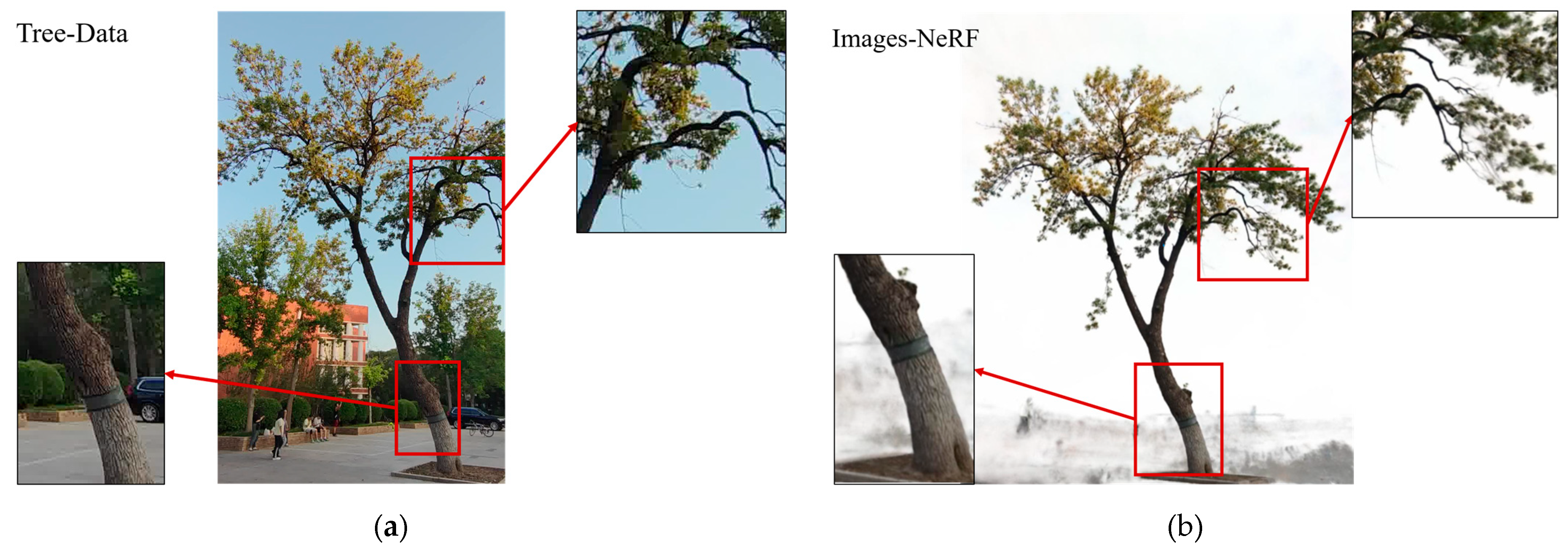 Remotesensing 17 01473 g006 Remotesensing 17 01473 g006