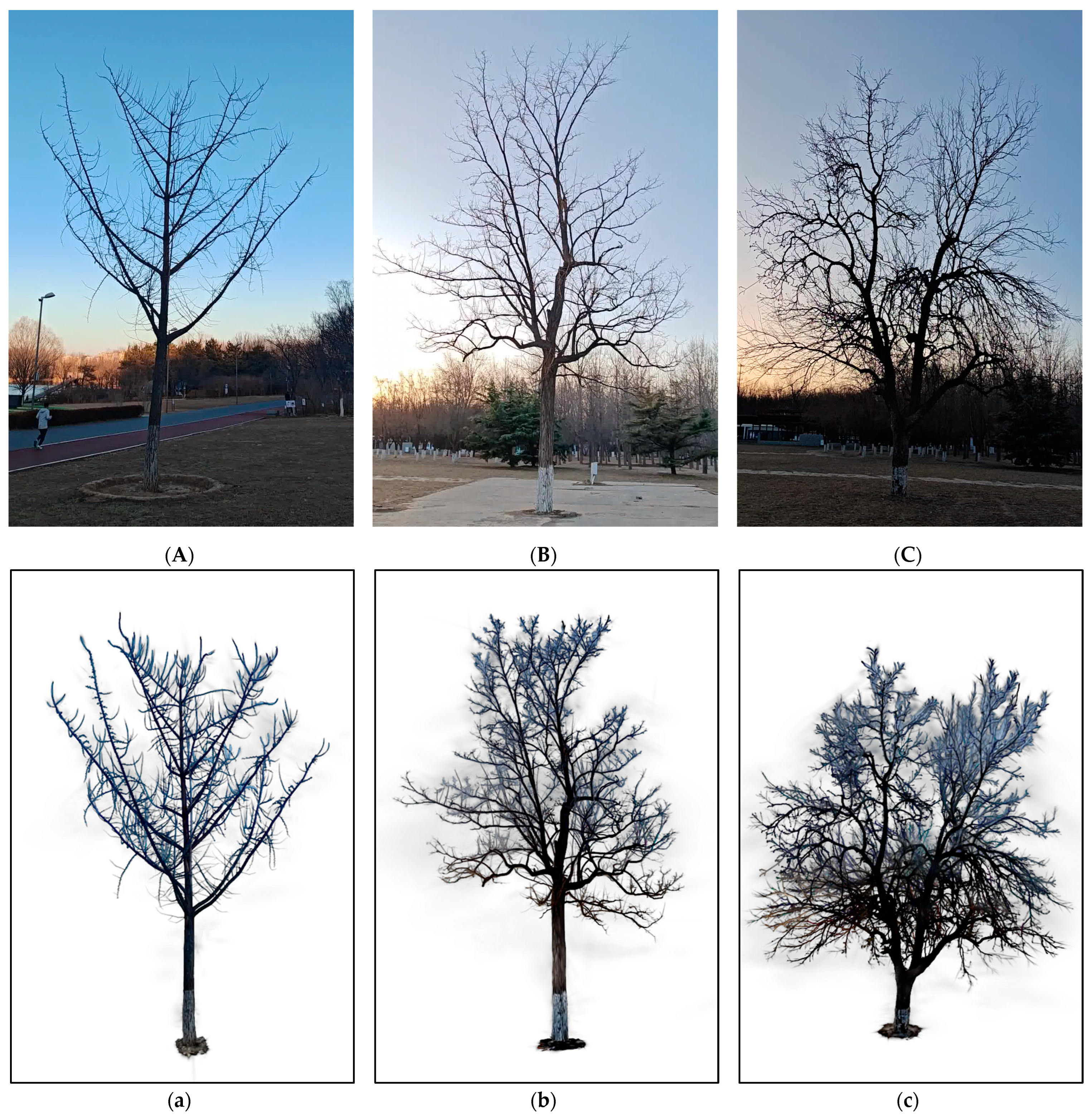 Remotesensing 17 01473 g008a Remotesensing 17 01473 g008a