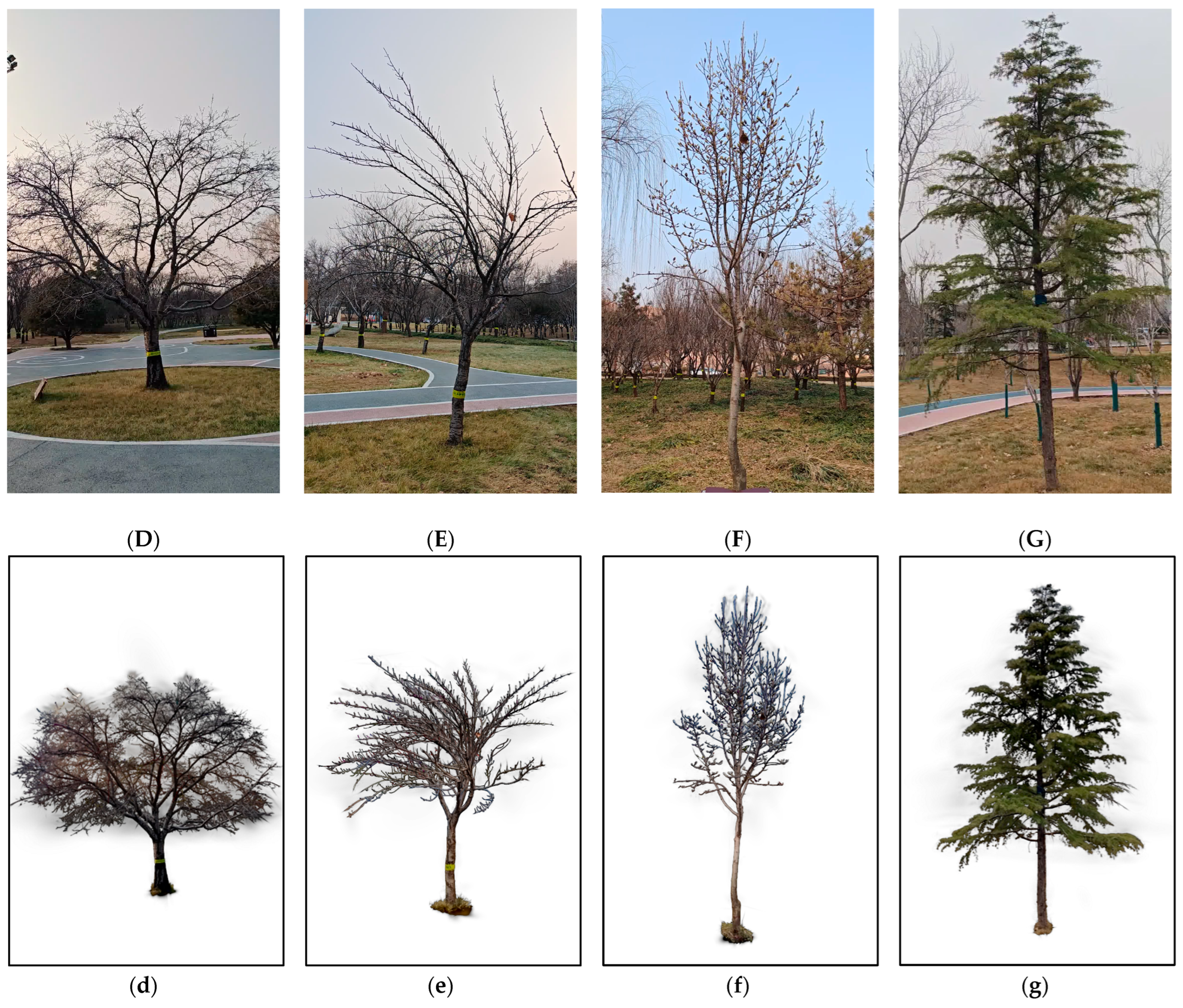 Remotesensing 17 01473 g008b Remotesensing 17 01473 g008b