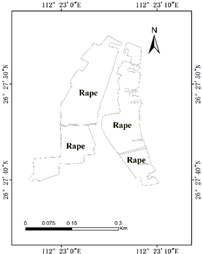 Remotesensing 17 01479 i010 Remotesensing 17 01479 i010