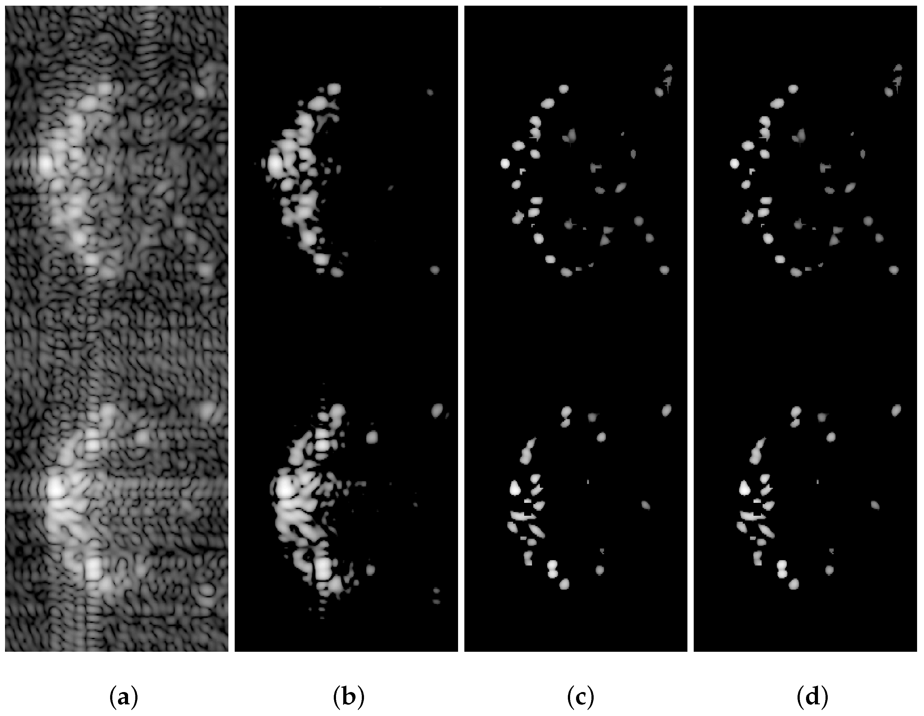 Remotesensing 17 01483 g016