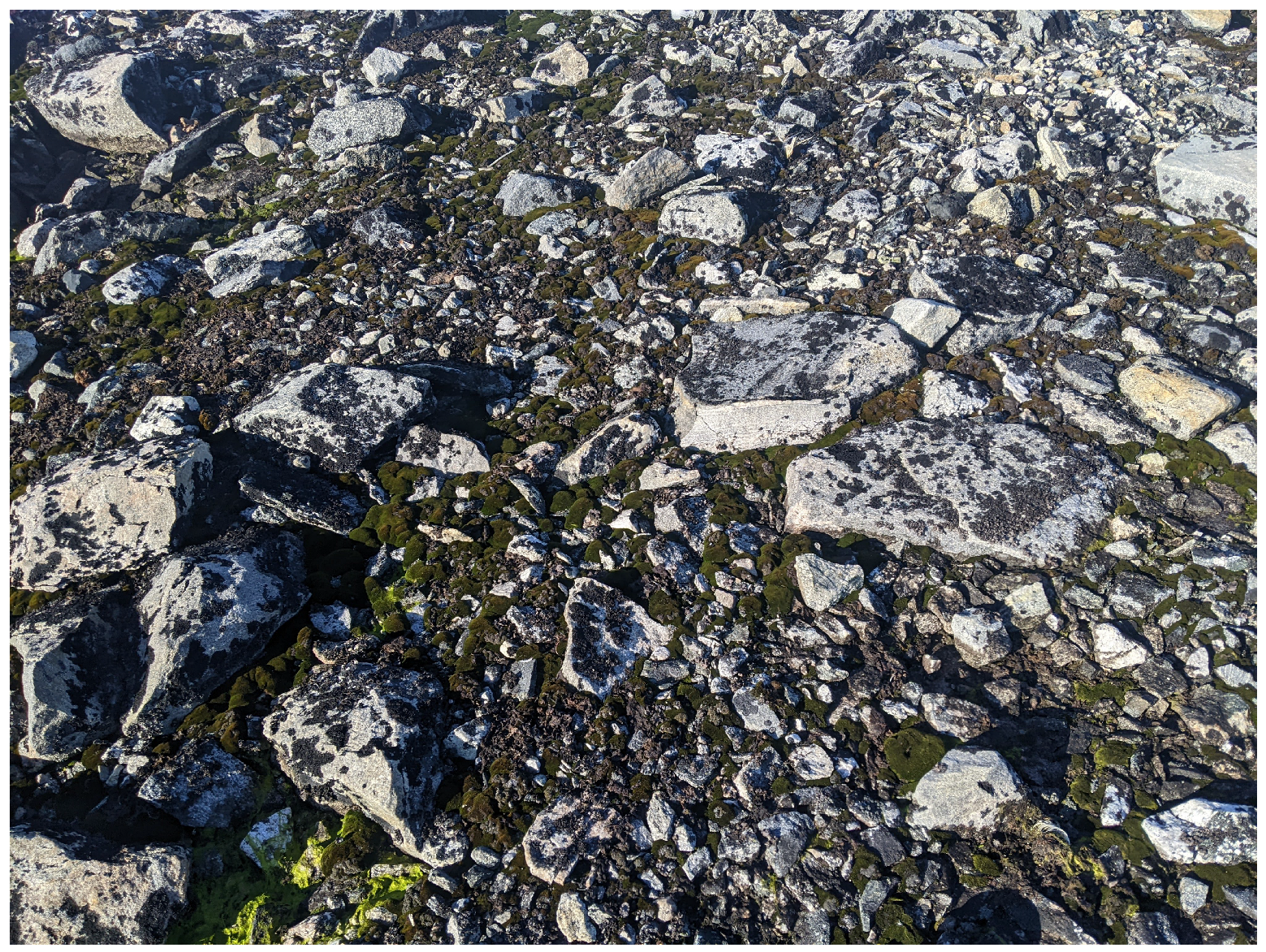 Remotesensing 17 01513 g002