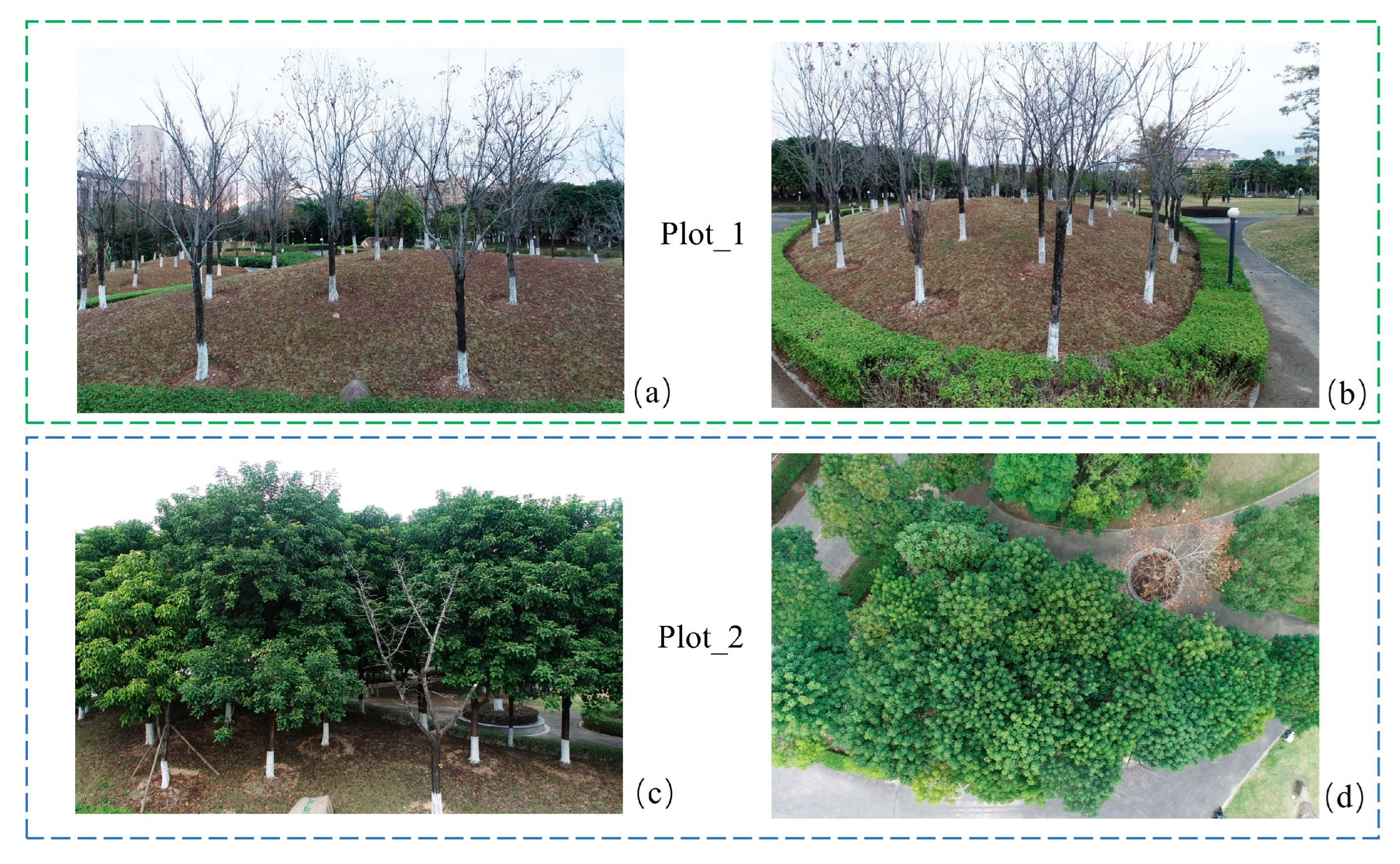 Remotesensing 17 01520 g001