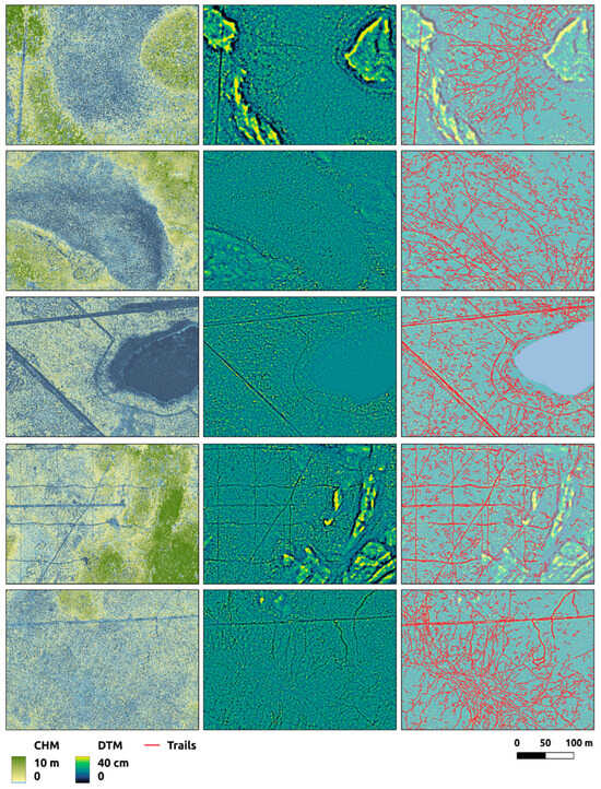 Remotesensing 17 01539 g008