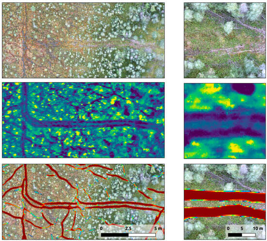 Remotesensing 17 01539 g010
