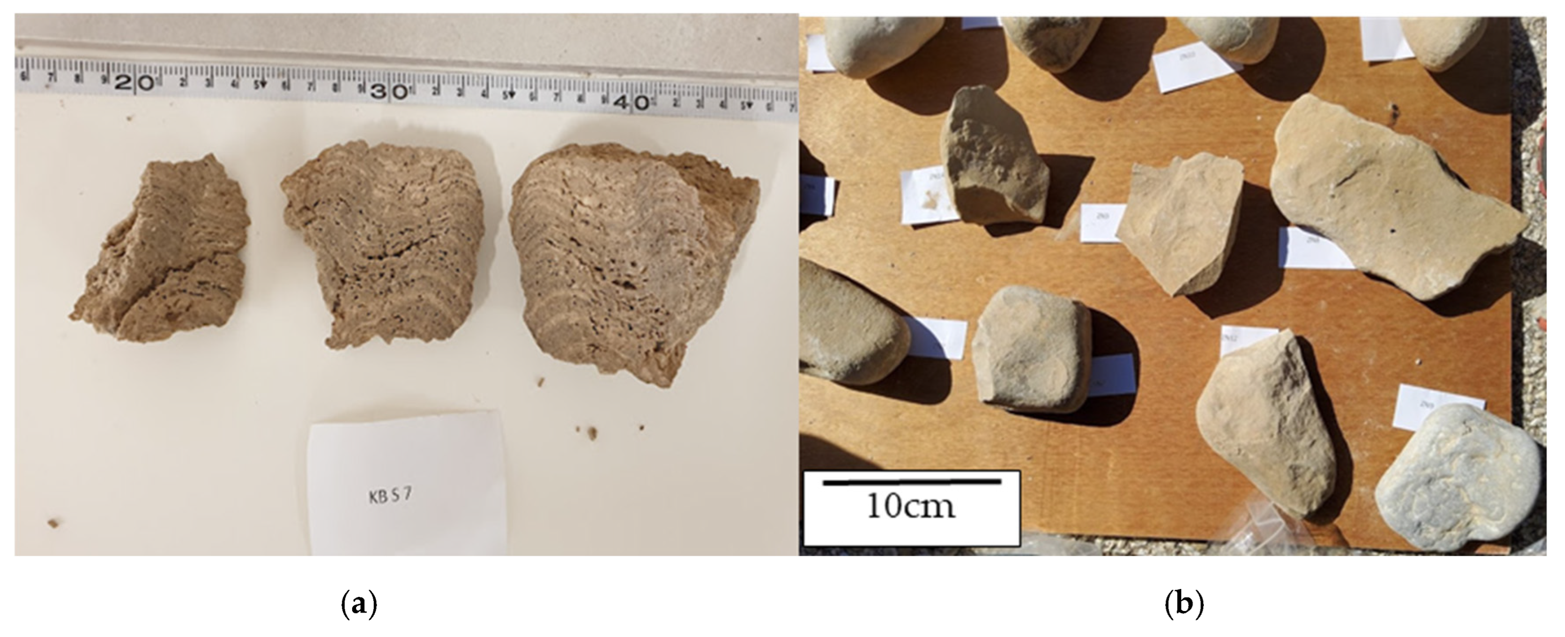 Remotesensing 17 01613 g002