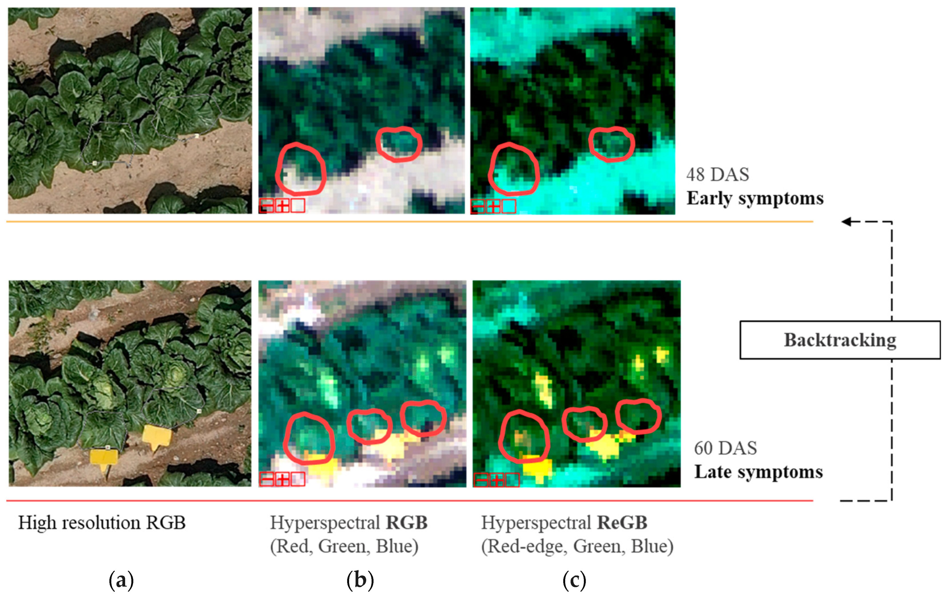 Remotesensing 17 01626 g005 Remotesensing 17 01626 g005