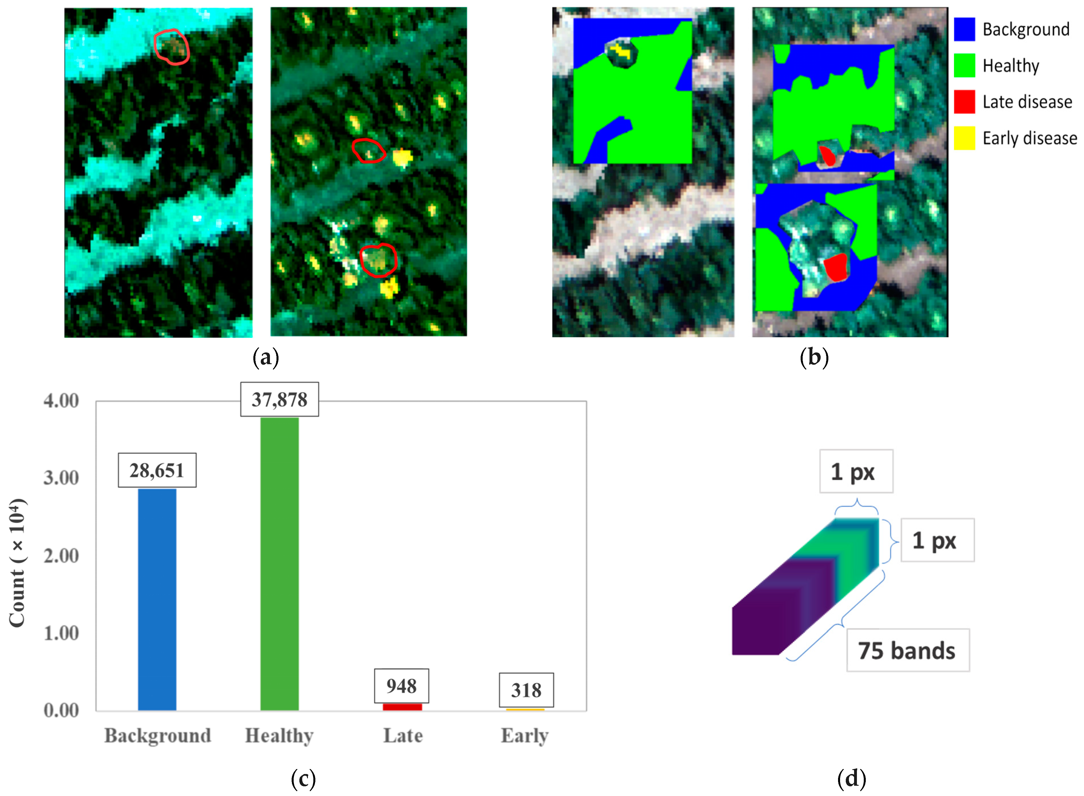 Remotesensing 17 01626 g006 Remotesensing 17 01626 g006