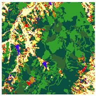 Remotesensing 17 01659 i005 Remotesensing 17 01659 i005