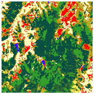 Remotesensing 17 01659 i006 Remotesensing 17 01659 i006