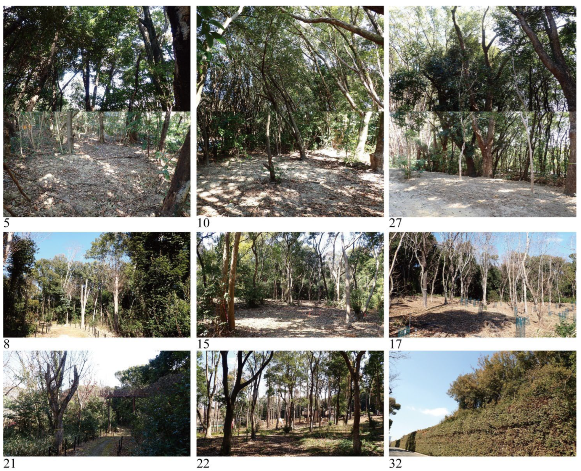 Remotesensing 17 01682 g009