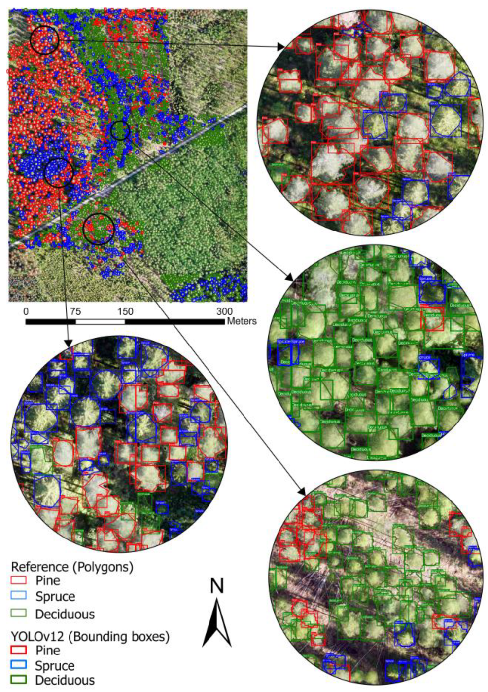 Remotesensing 17 01811 g006