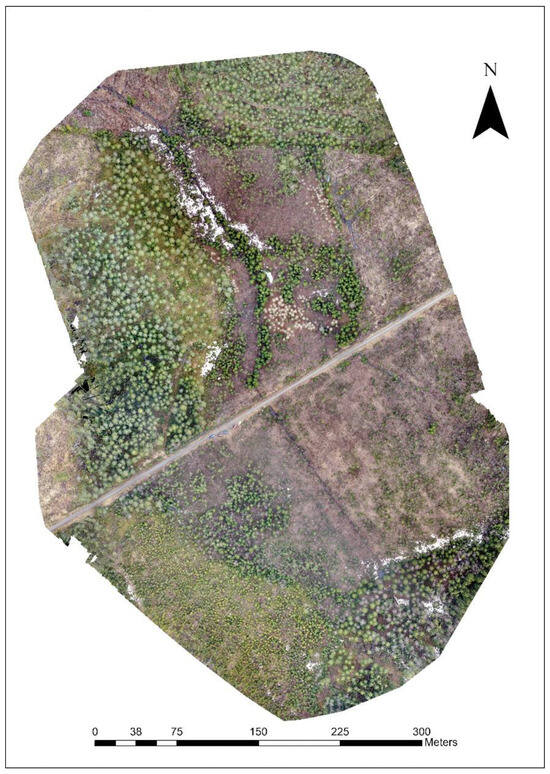 Remotesensing 17 01811 g0a1