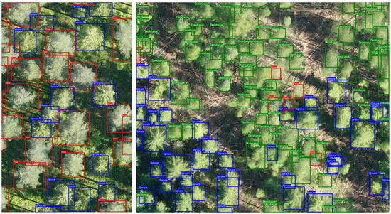 Remotesensing 17 01811 g0a5
