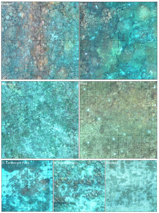 Remotesensing 17 01831 g002