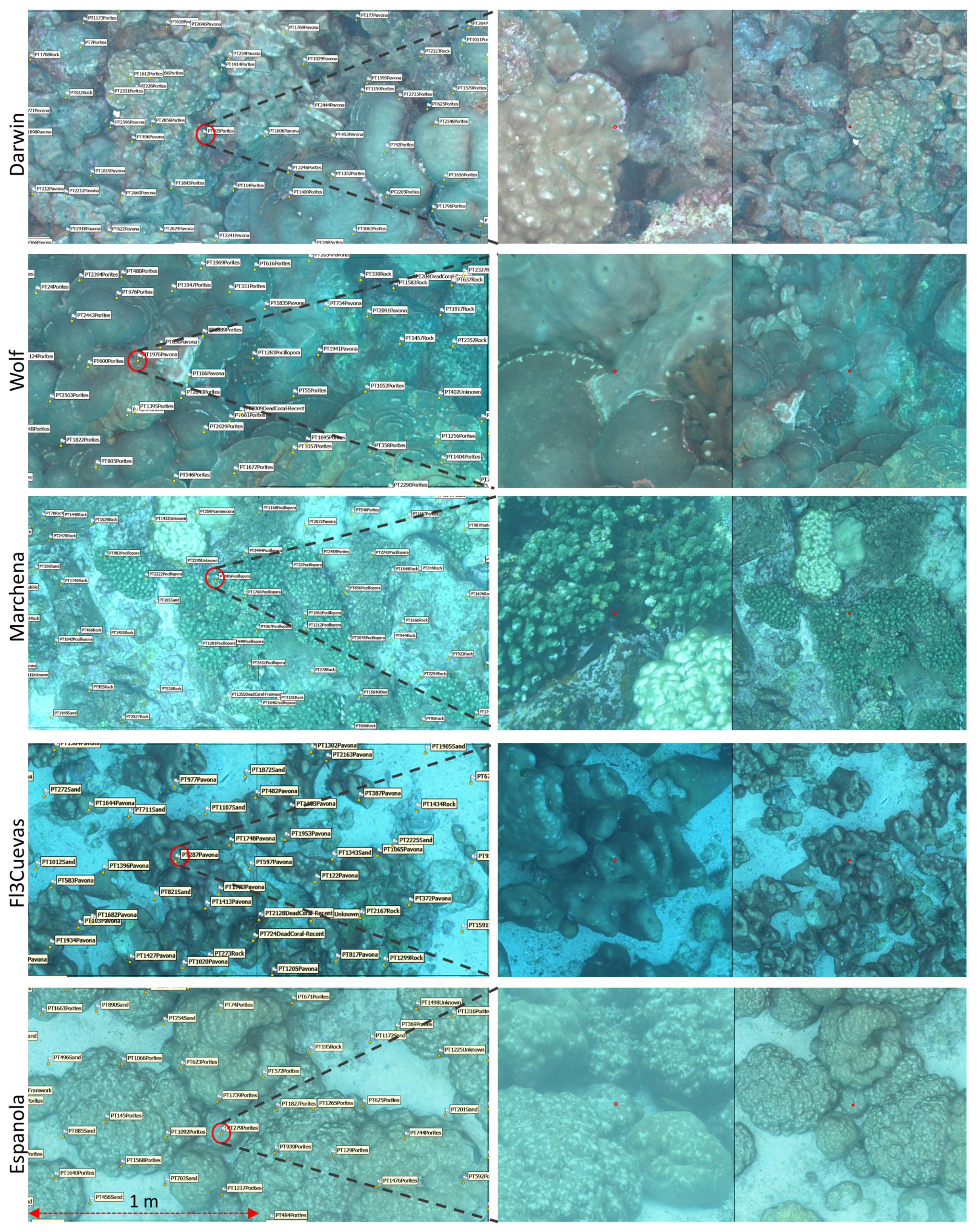 Remotesensing 17 01831 g003