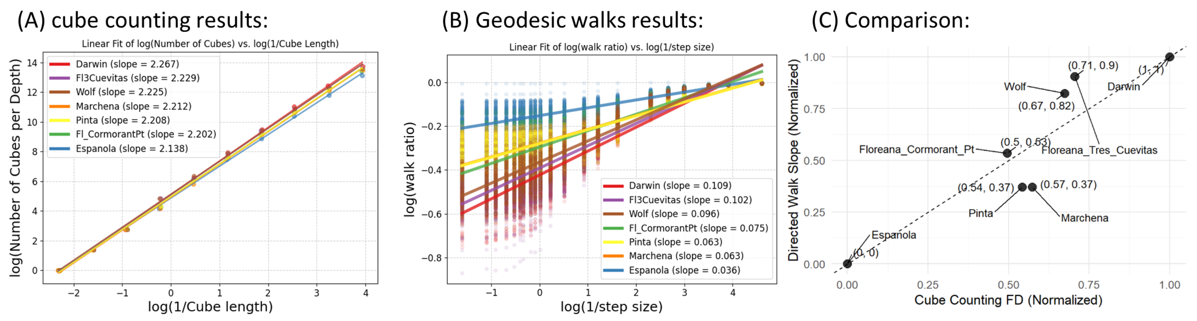 Remotesensing 17 01831 g006
