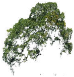 Remotesensing 17 01863 i003