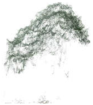 Remotesensing 17 01863 i006