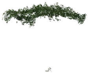 Remotesensing 17 01863 i009