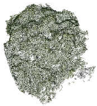 Remotesensing 17 01863 i014