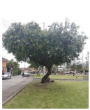 Remotesensing 17 01863 i016