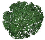 Remotesensing 17 01863 i023