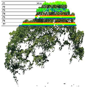 Remotesensing 17 01863 i025