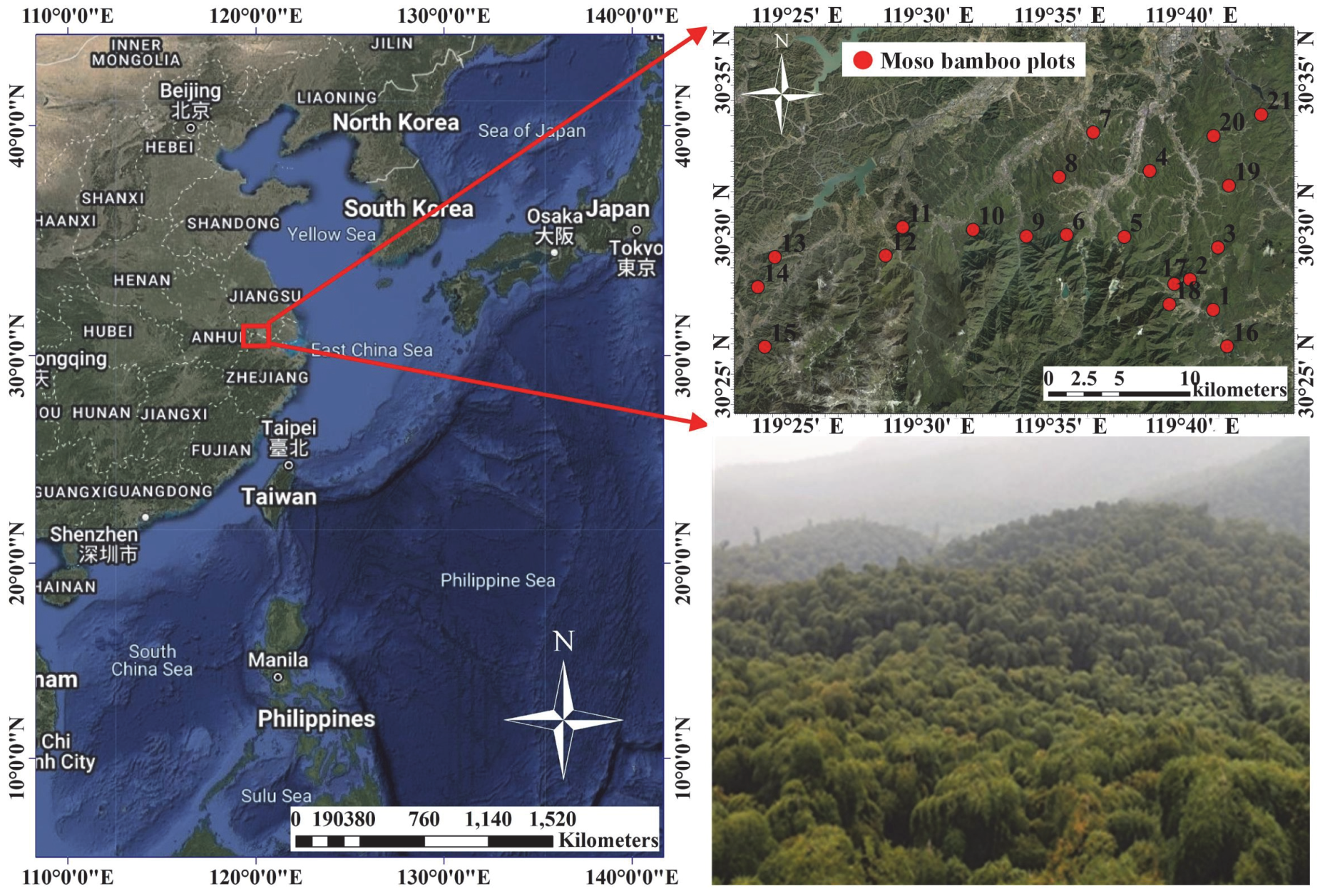 Remotesensing 17 01891 g001