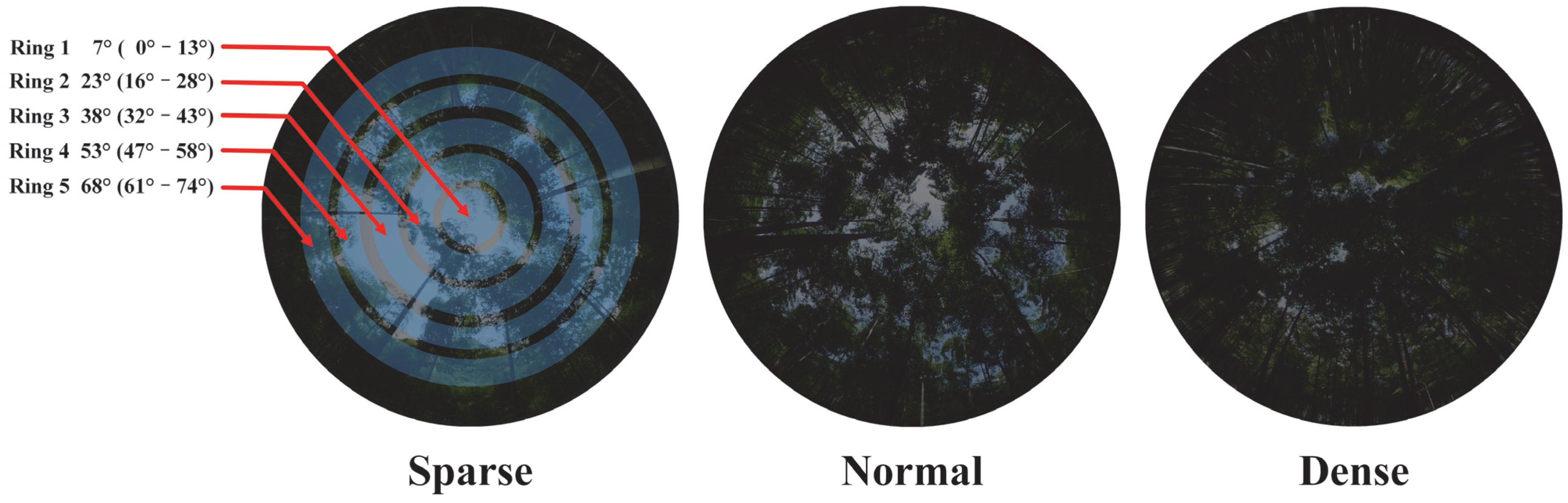 Remotesensing 17 01891 g002