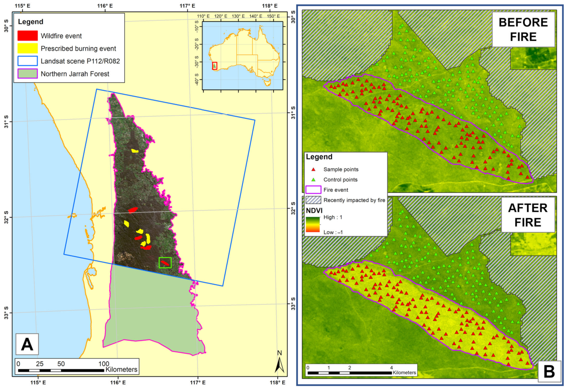 Remotesensing 17 01979 g001 Remotesensing 17 01979 g001