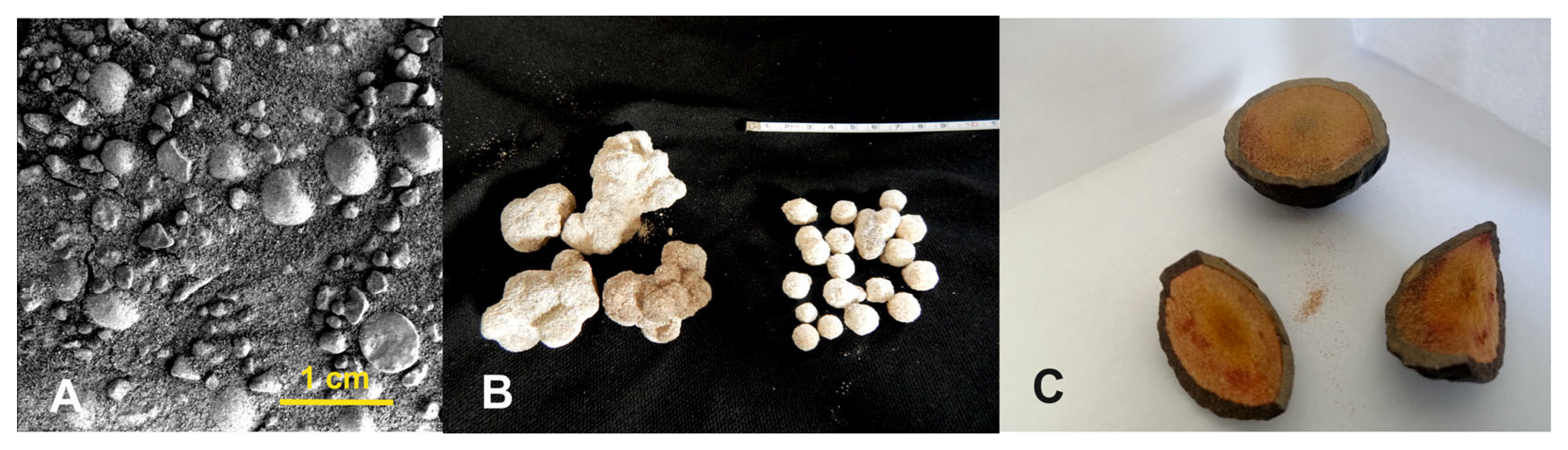 Remotesensing 17 01981 g002 Remotesensing 17 01981 g002