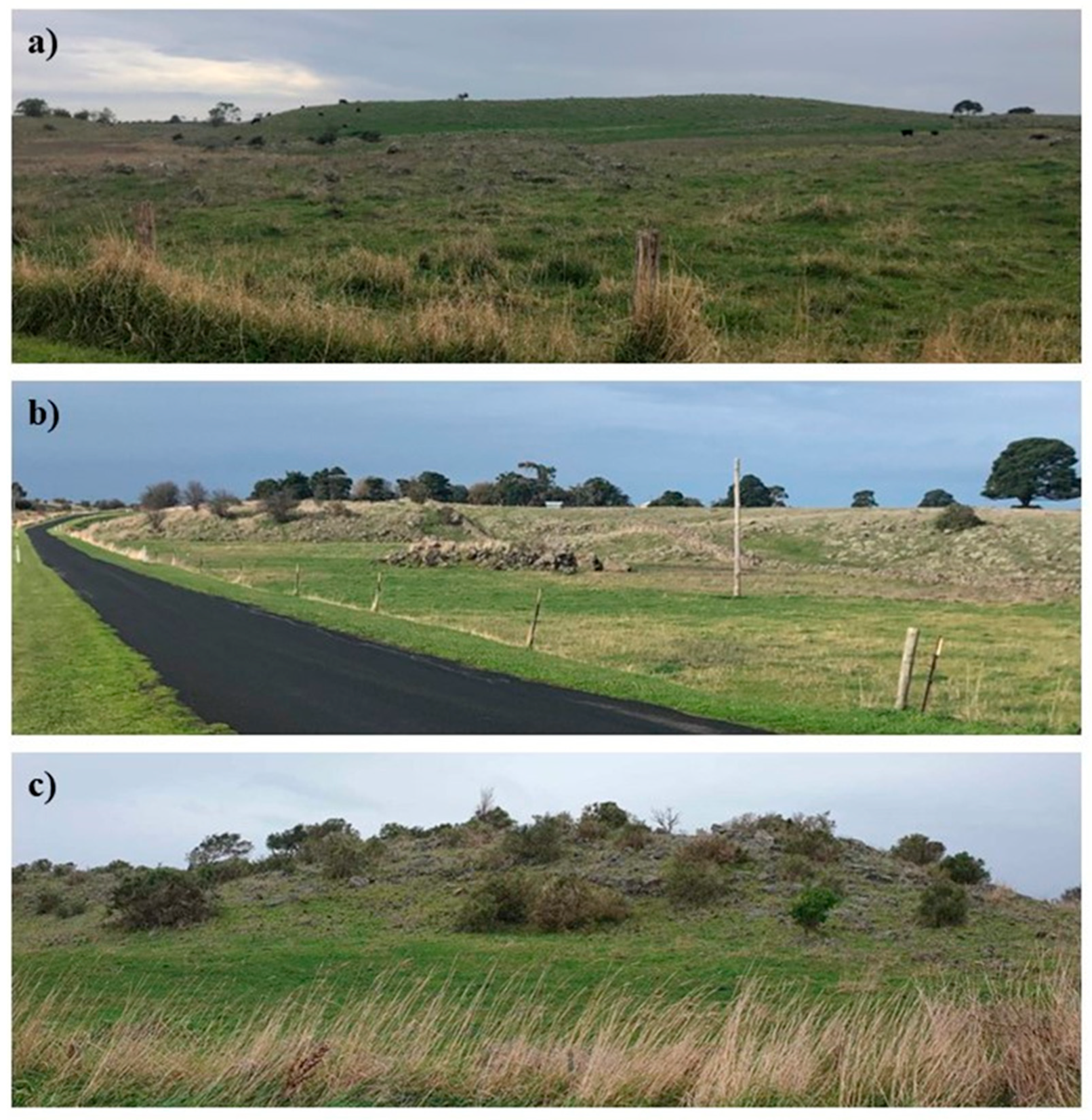 Remotesensing 17 02004 g002