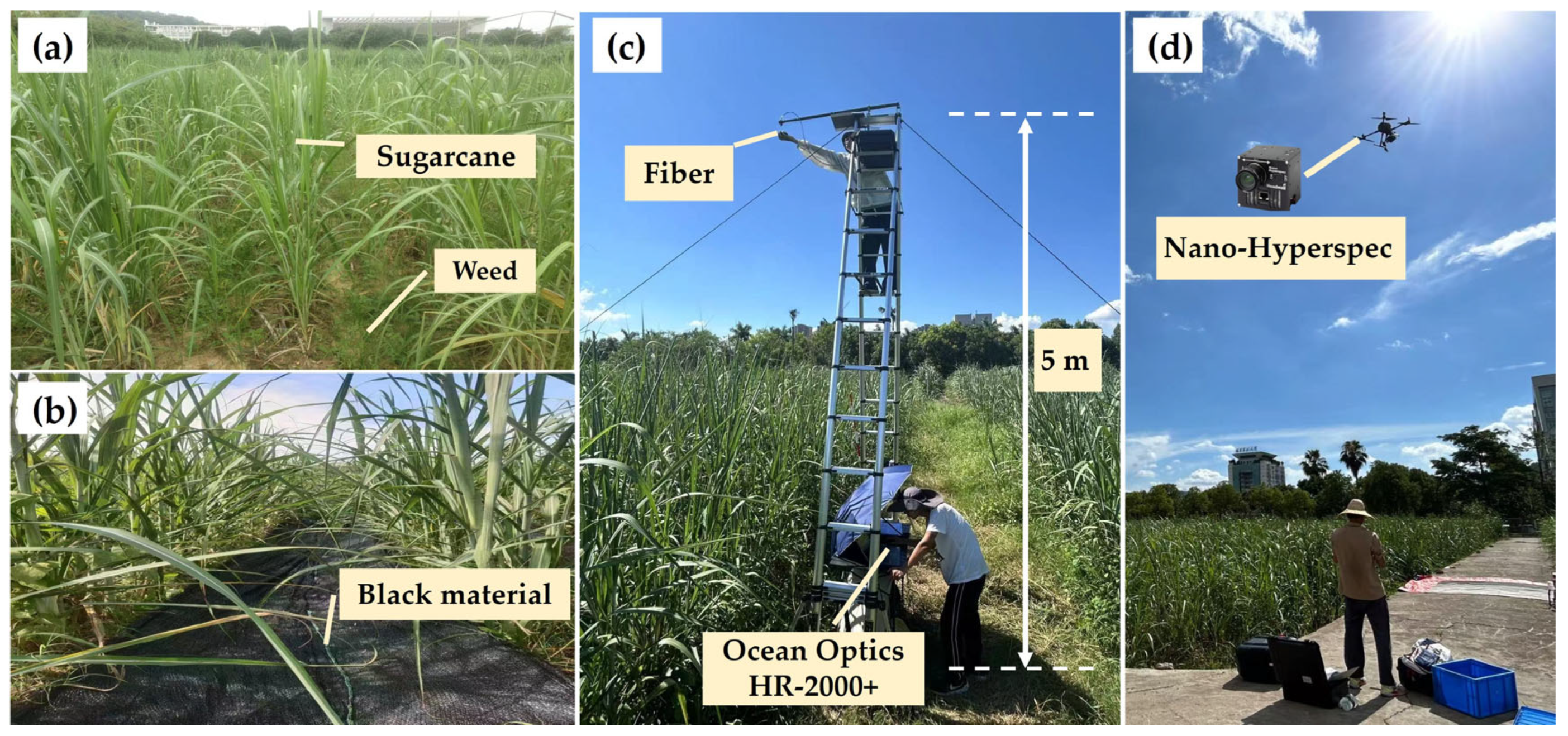 Remotesensing 17 02014 g002