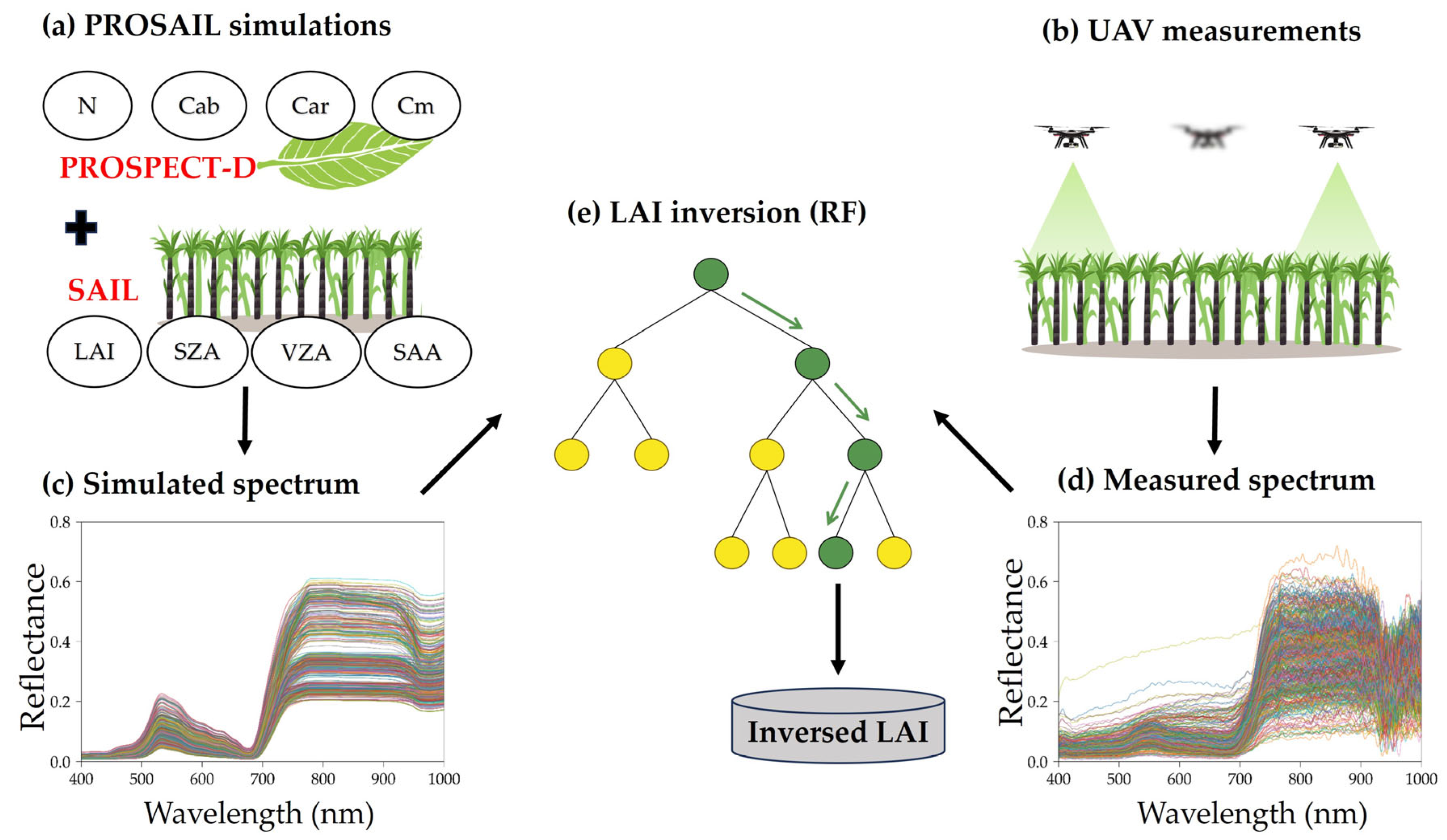 Remotesensing 17 02014 g004