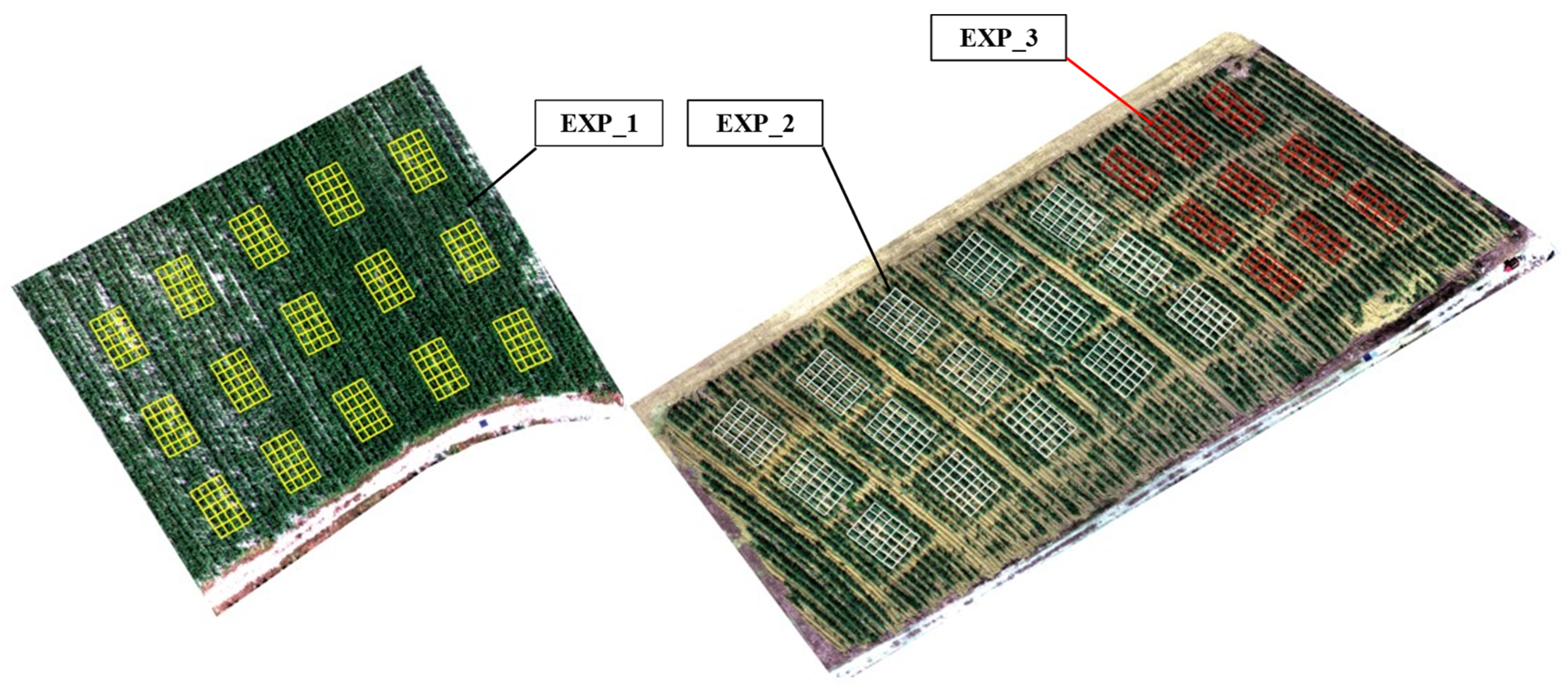 Remotesensing 17 02055 g004
