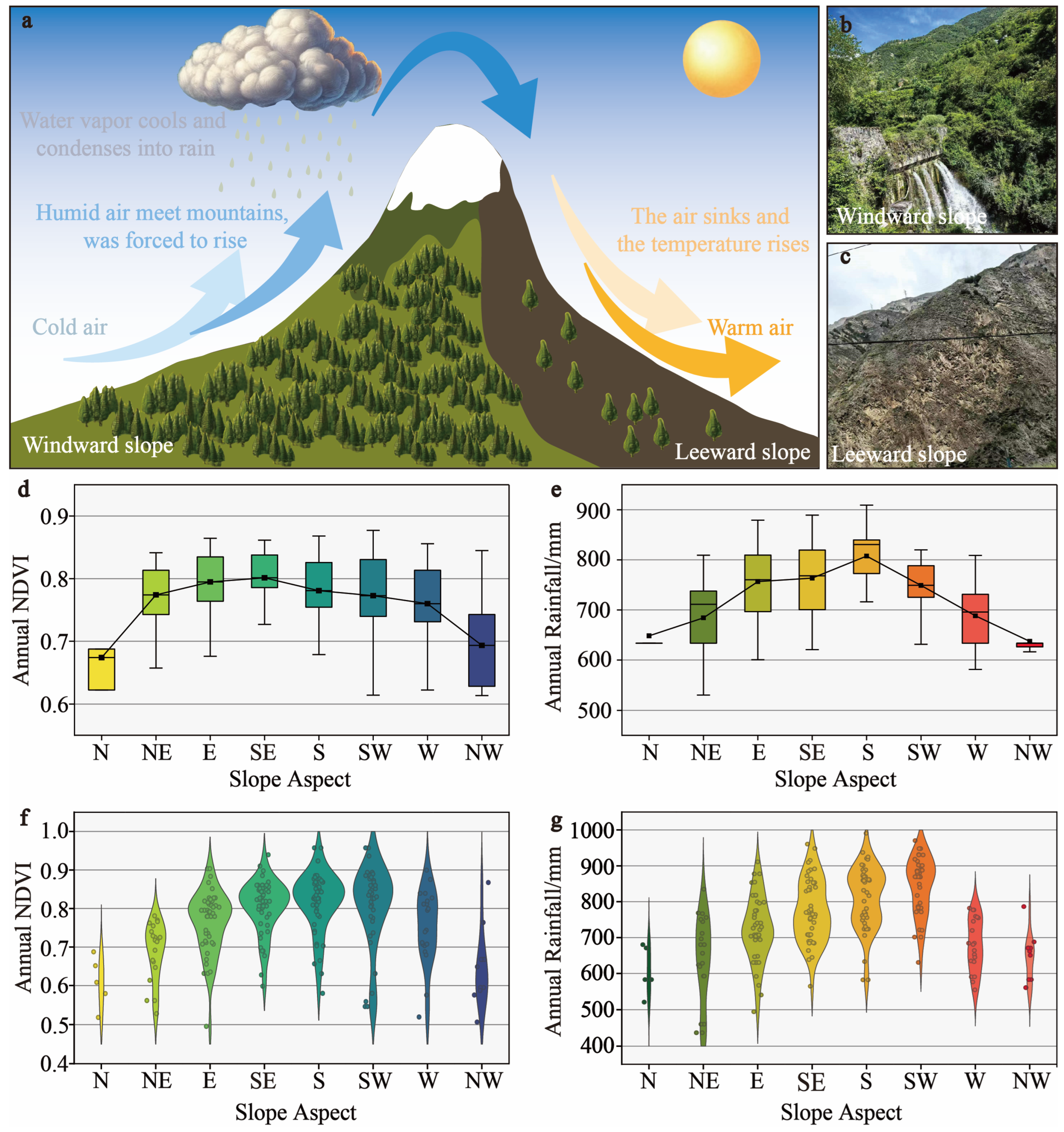 Remotesensing 17 02083 g008