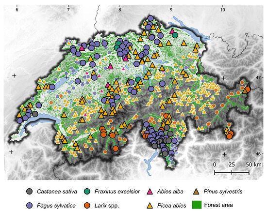 Remotesensing 17 02094 g001