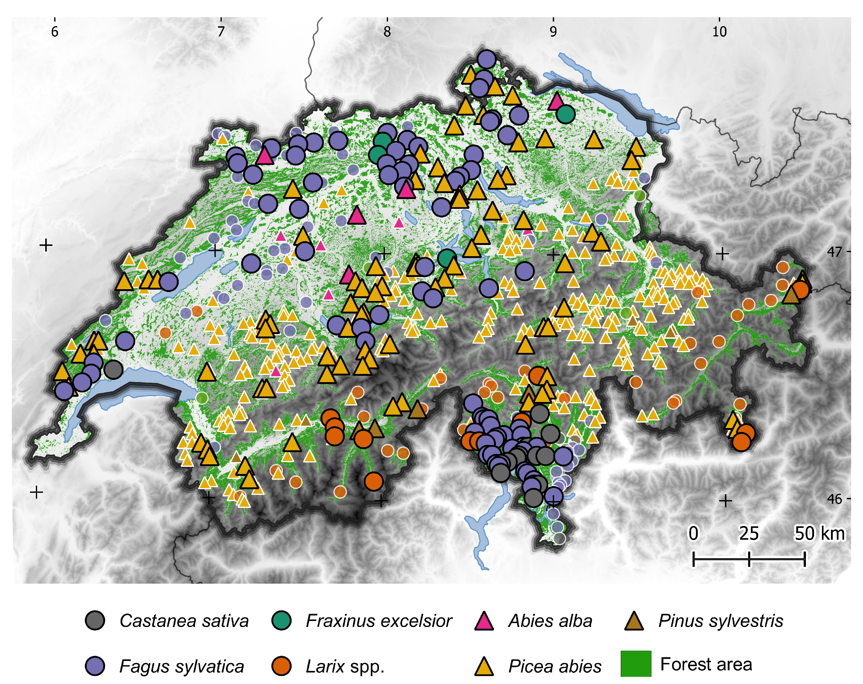 Remotesensing 17 02094 g001