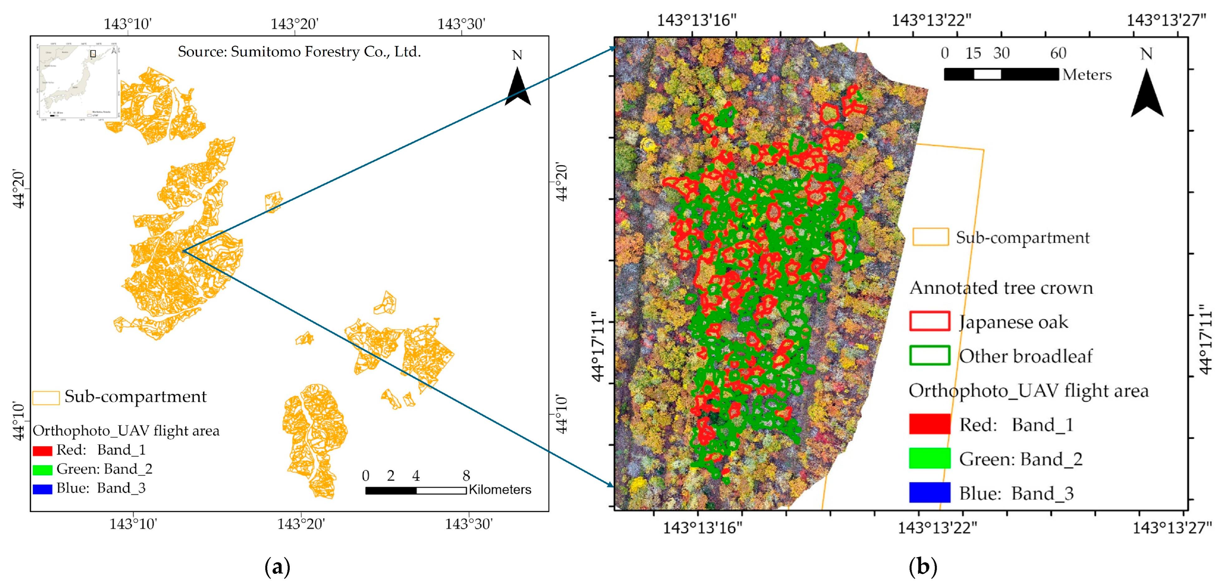 Remotesensing 17 02111 g001a