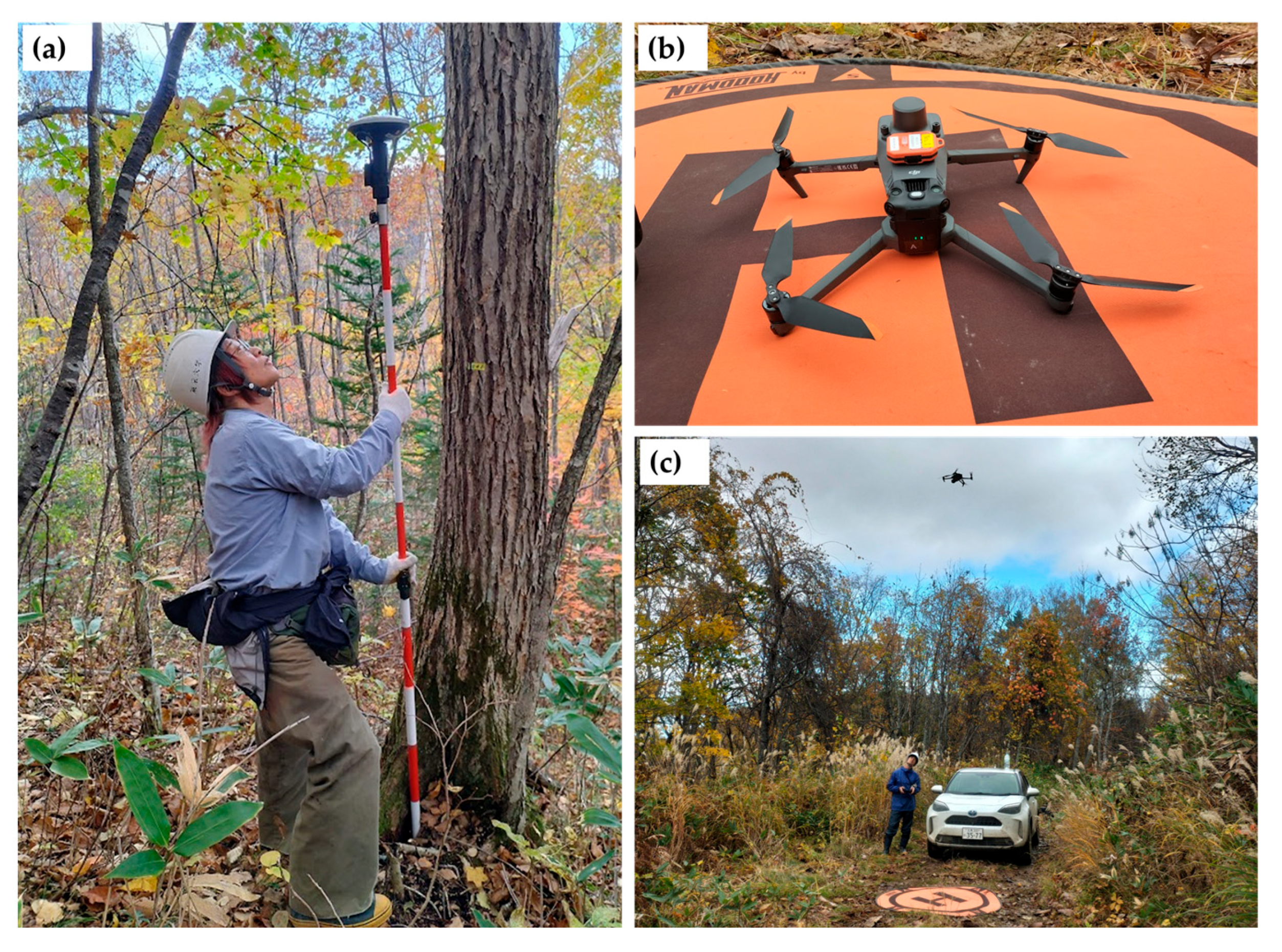 Remotesensing 17 02111 g002