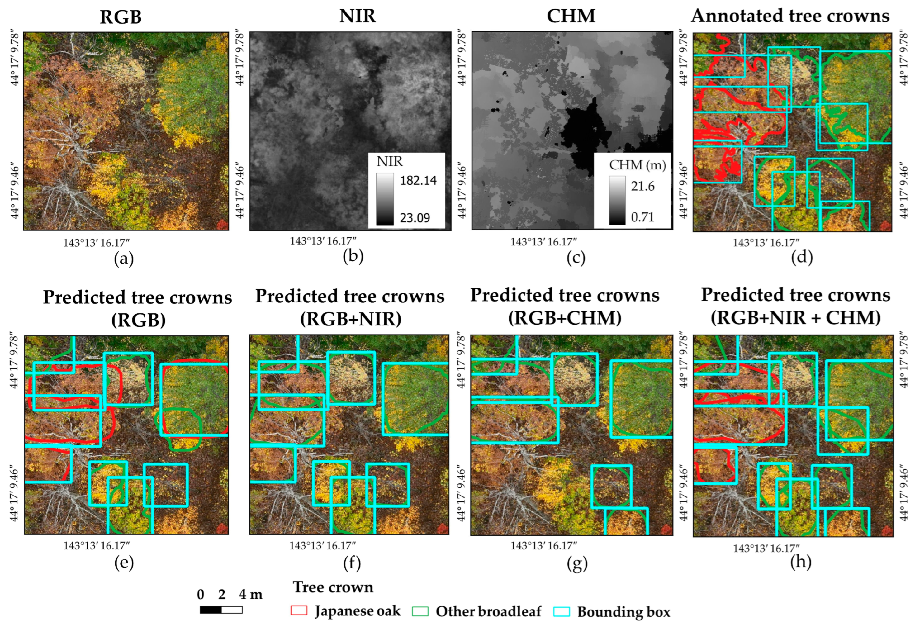 Remotesensing 17 02111 g005